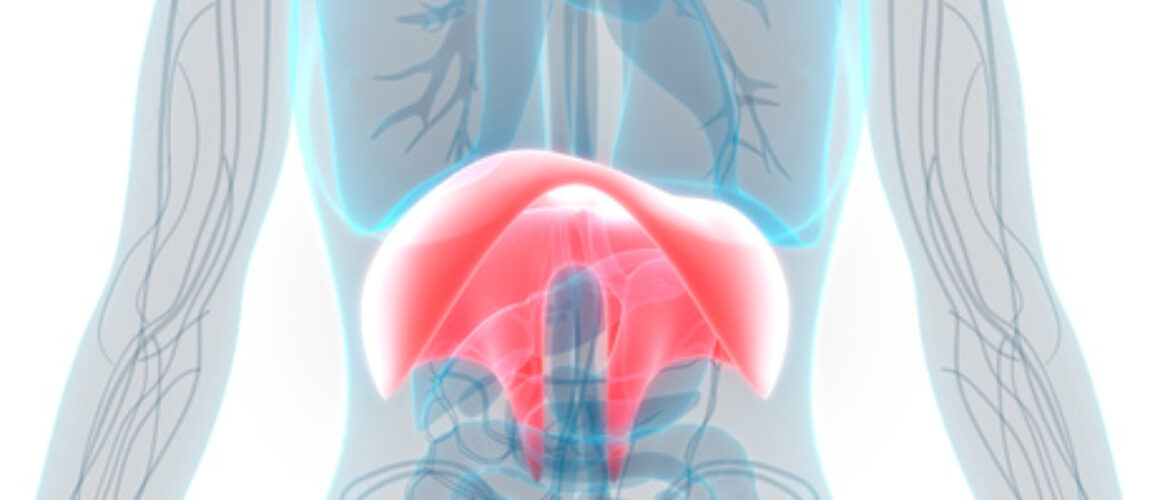 480838536_1443661580283910_200405714311109305_n