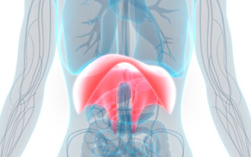 480838536_1443661580283910_200405714311109305_n