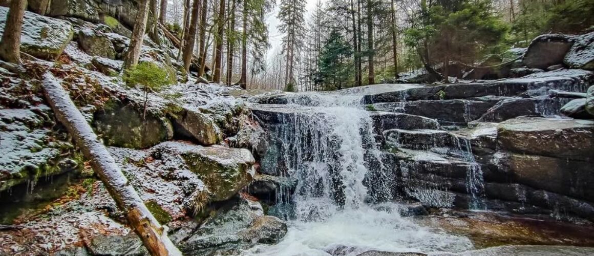 482086618_1436602677656467_5904170520609215993_n